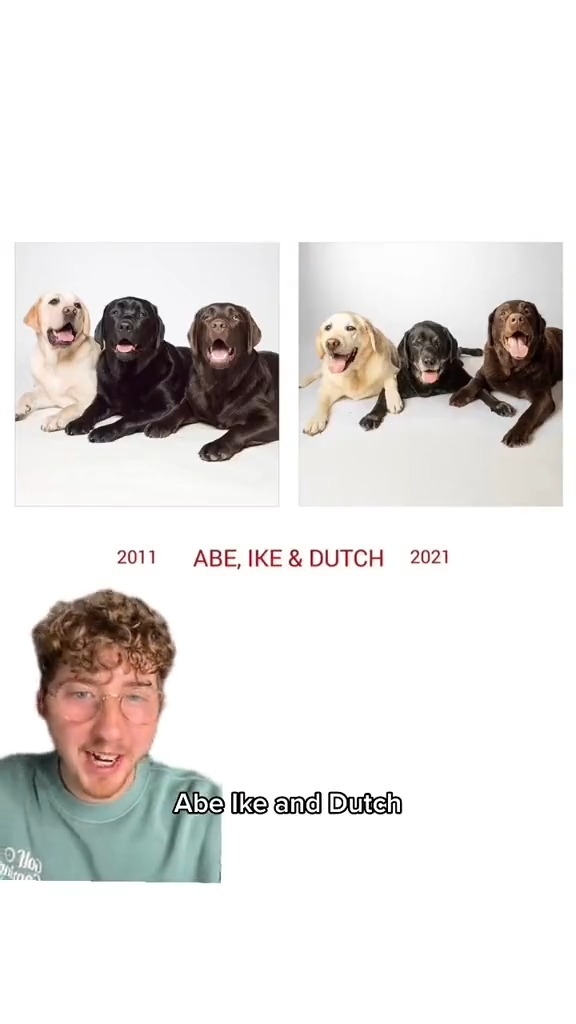 A photographer took photos of dogs as puppies and then again as seniors. The results are as emotional as you would imagine. 13/10 for all