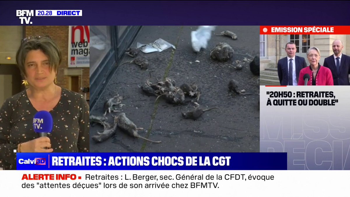 🐀🇫🇷 FLASH - Des agents de la mairie de #Paris ont déversé des cadavres de rats devant l'Hôtel de ville contre la réforme des retraites. (BFMTV) #surmulots #reformedesretraites