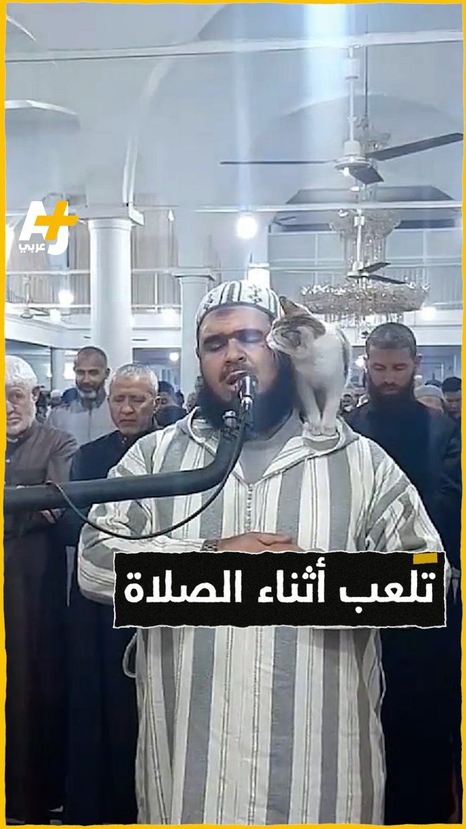 قطة تخطف الأنظار بعد أن دخلت محراب إمام أثناء صلاة التروايح بأحد مساجد الجزائر.. وقد وُثّق المشهد الذي حصل مع الإمام والقارئ الجزائري وليد مهساس في فيديو نشره عبر صفحته في الفيسبوك. شاهدوا ماذا فعلت القطة:
