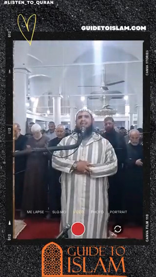 #Prophet_Muhammad (PBUH) taught us to treat animals with kindness. The story of the cat interrupting Imam prayer in Algeria is a beautiful example of this. Let's show love and respect to all creatures and make the world a better place. 🐾 #Listen_toQuran #chat_decide