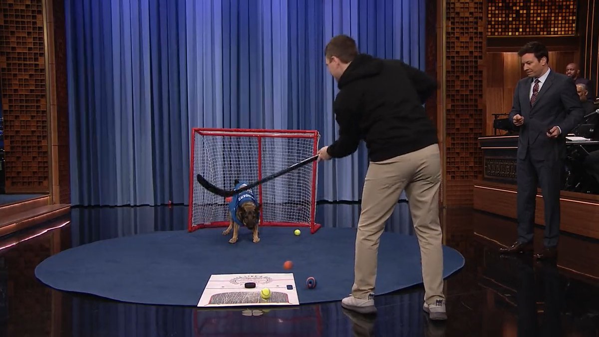 Meet Maggie the Goalie, the dog who blocks 𝘰𝘯𝘭𝘺 pucks from a goal! #FallonTonight