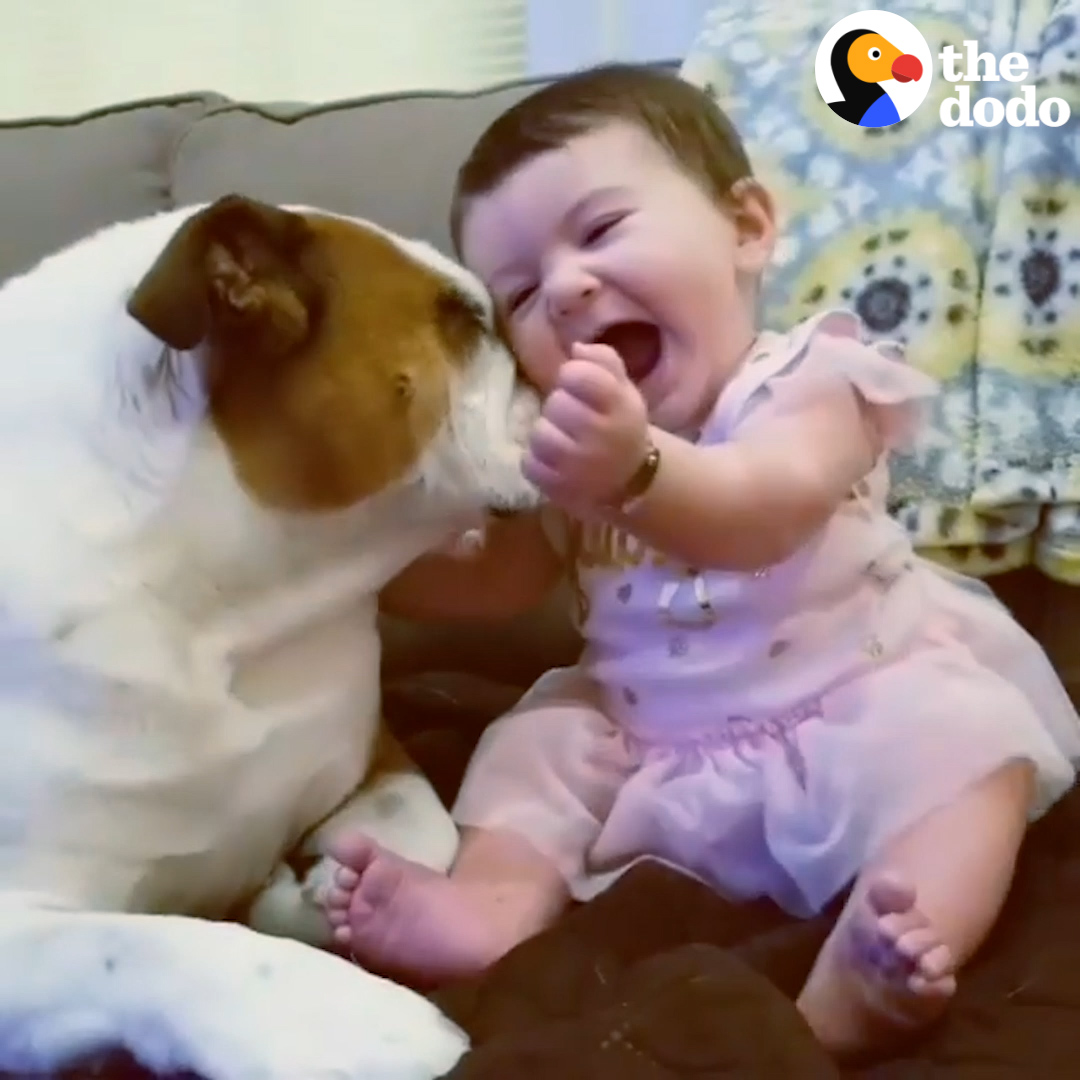 Every kid needs a dog best friend 💙
