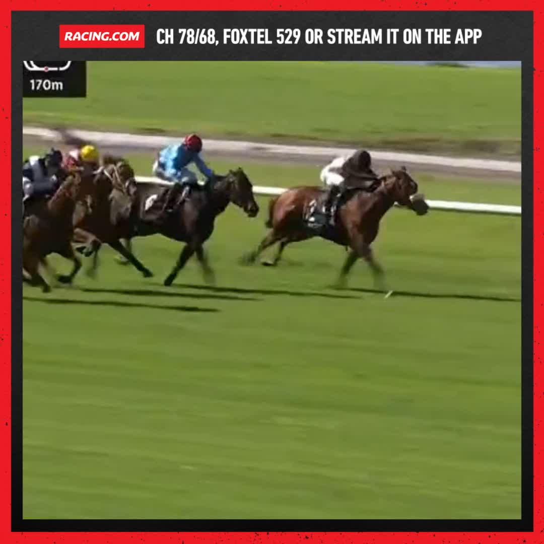 I Am Unstoppable in the Elvis Thurgood Redoute's Choice Stakes 🔥 Kennewell Racing Zac Spain