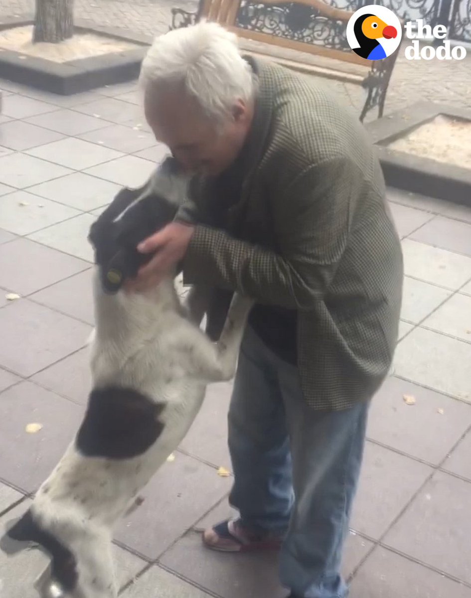 3 yıl önce kaybettigi köpegine tekrardan kavusması ve köpegin verdigi tepki gözlerim doldu 🥺♥️