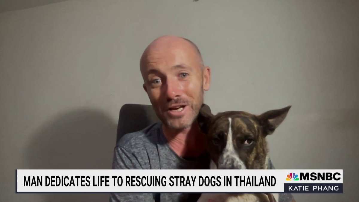 "When I logged onto my social media a year or so ago...I was looking at really depressing stuff. Treating dogs is by no means a happy subject but I try...and tell their stories and it really resonates with people" Niall Harbison on his mission to rescue stray dogs #KatiePhangShow