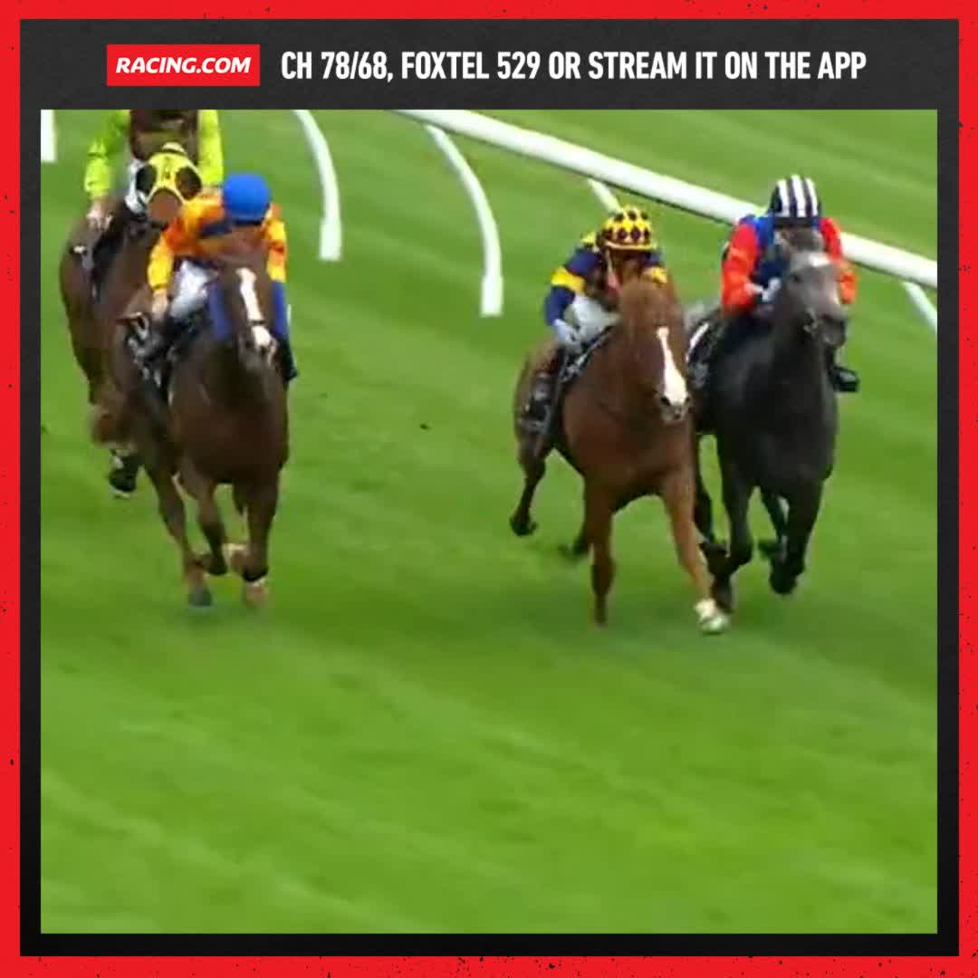 Debutant Silver Waves proves too quick for them 🌊 Ciaron Maher Racing Johnny Allen
