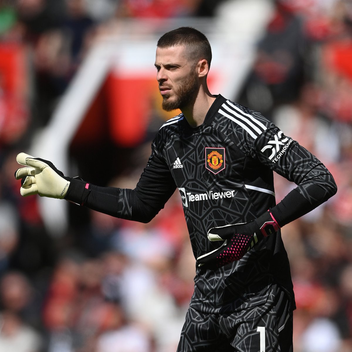 💬 David de Gea was a proud man following Saturday's #PL victory! 👏 #MUFC || #MUNEVE
