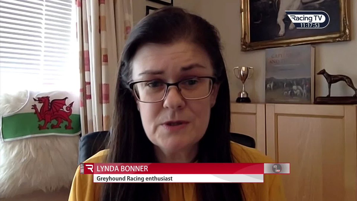 It was great to hear from greyhound enthusiast Lynda Bonner on #LuckOnSunday today. At 10,000, the petition she mentioned will be considered for debate in the Senedd. Nick Luck 🐶 It will take you a few seconds to sign it ➡️
