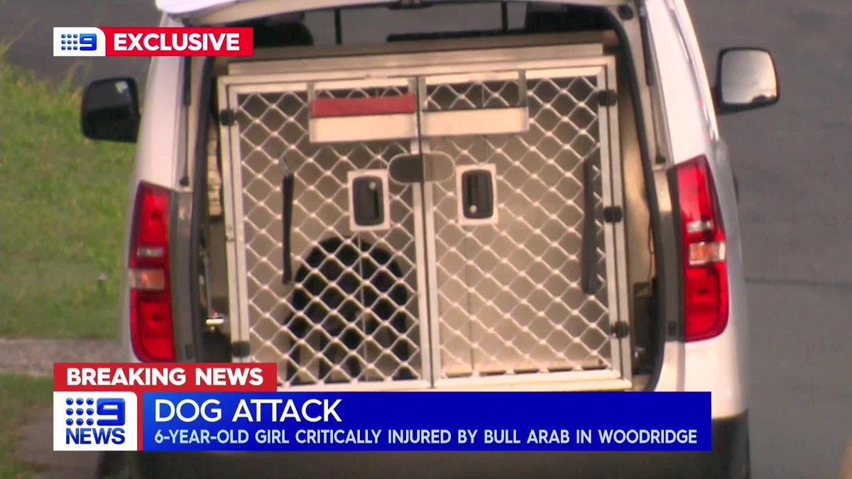 #BREAKING: A 6-year-old girl is tonight fighting for life after being dragged into a yard and mauled by a dog in Woodridge. MORE: Nick Kelly #9News