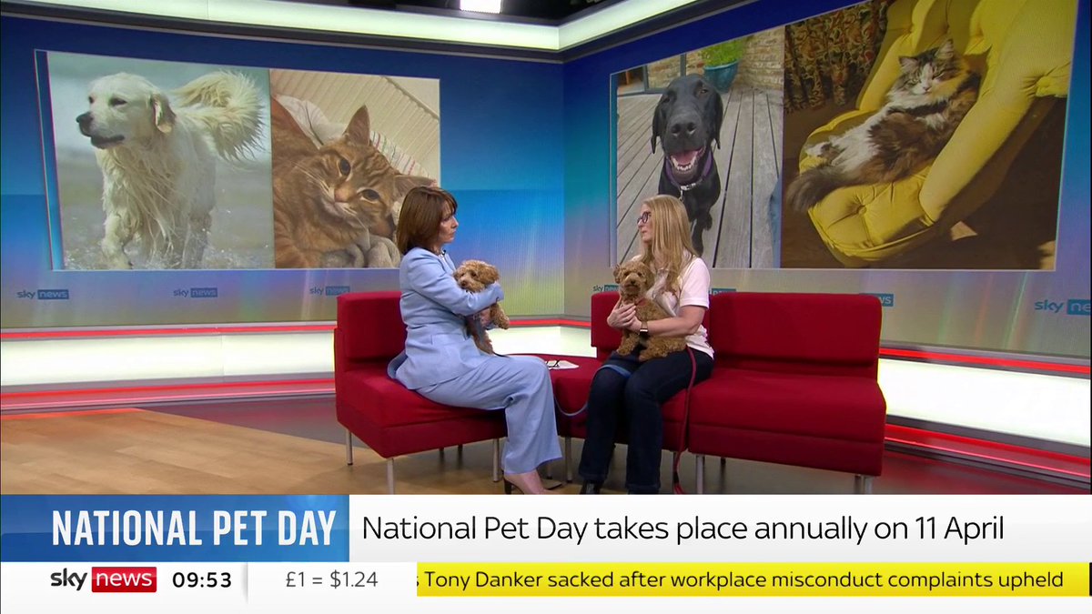 Puppies in the house! 🐶 We're celebrating National Pet Day with Lorna Winter, co-owner of zigzag.dog #KayBurley FC