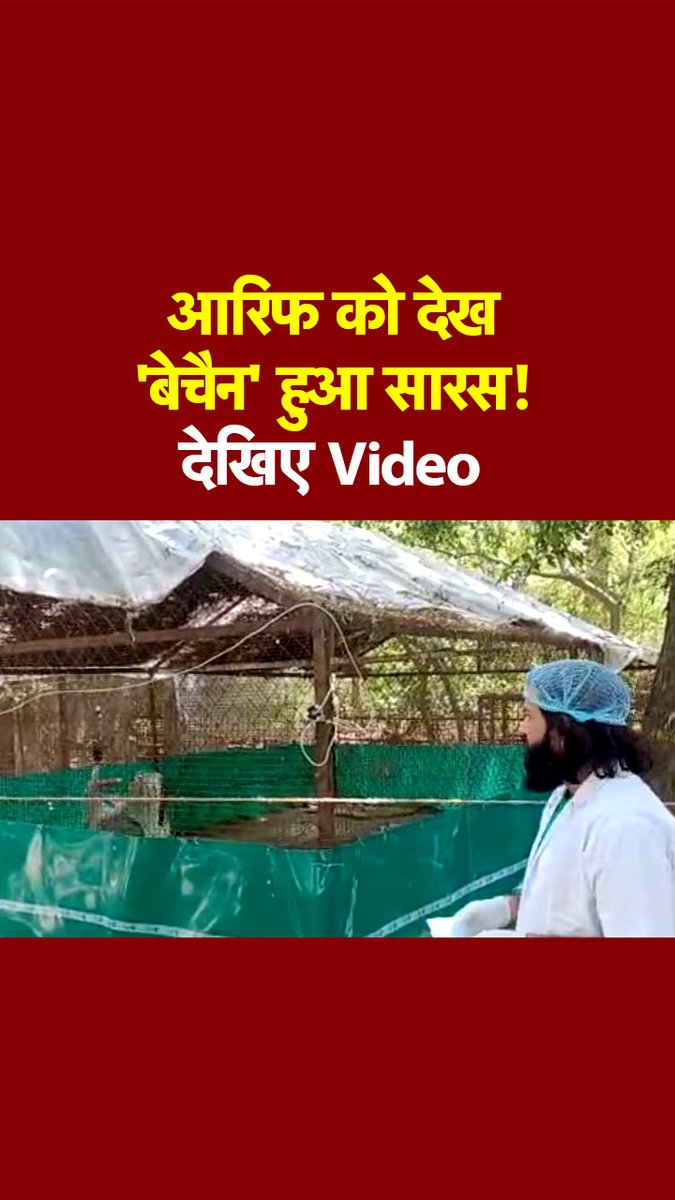 अपने दोस्त सारस से मिलने कानपुर चिड़ियाघर पहुंचे आरिफ, फिर... #Saras #Arif #KanpurZoo #Video #UGC Sargam Pant Shrivastava