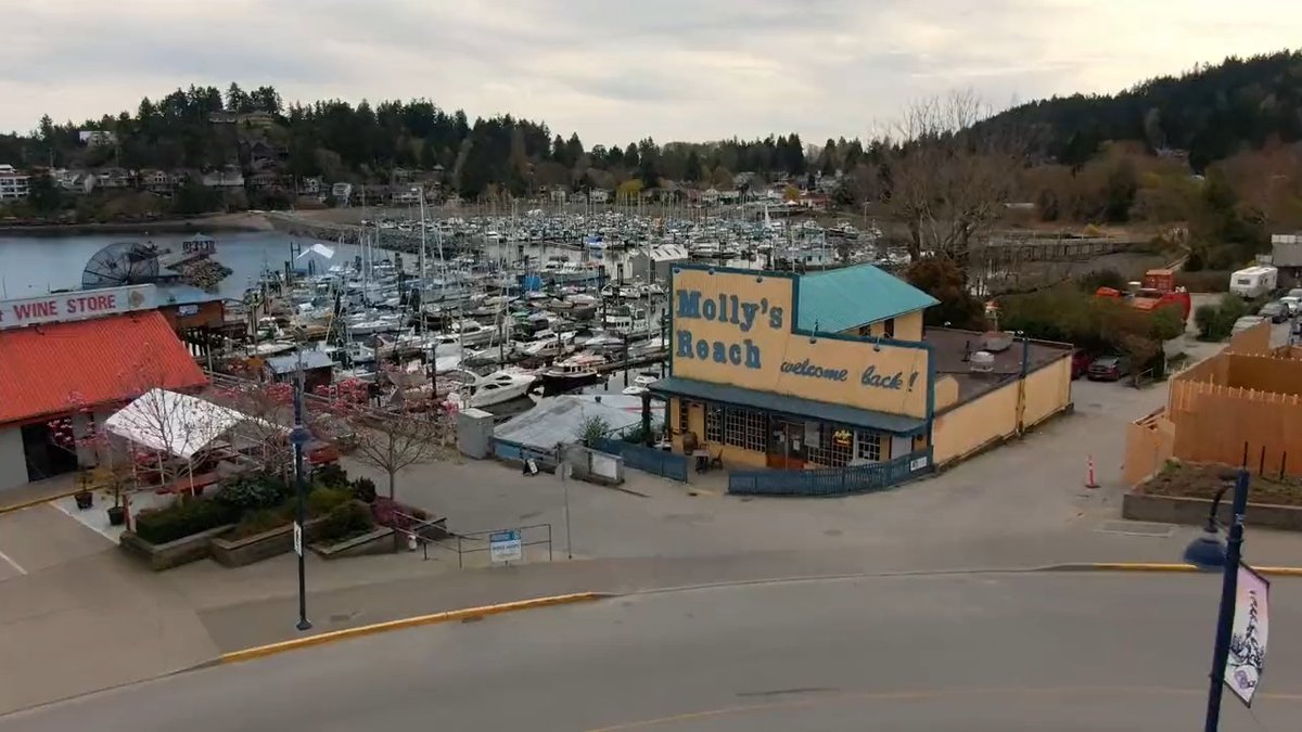 This season, Jonny Harris went to Gibsons, B.C., home of the longest-running English drama in Canadian TV history. (📺: Still Standing)