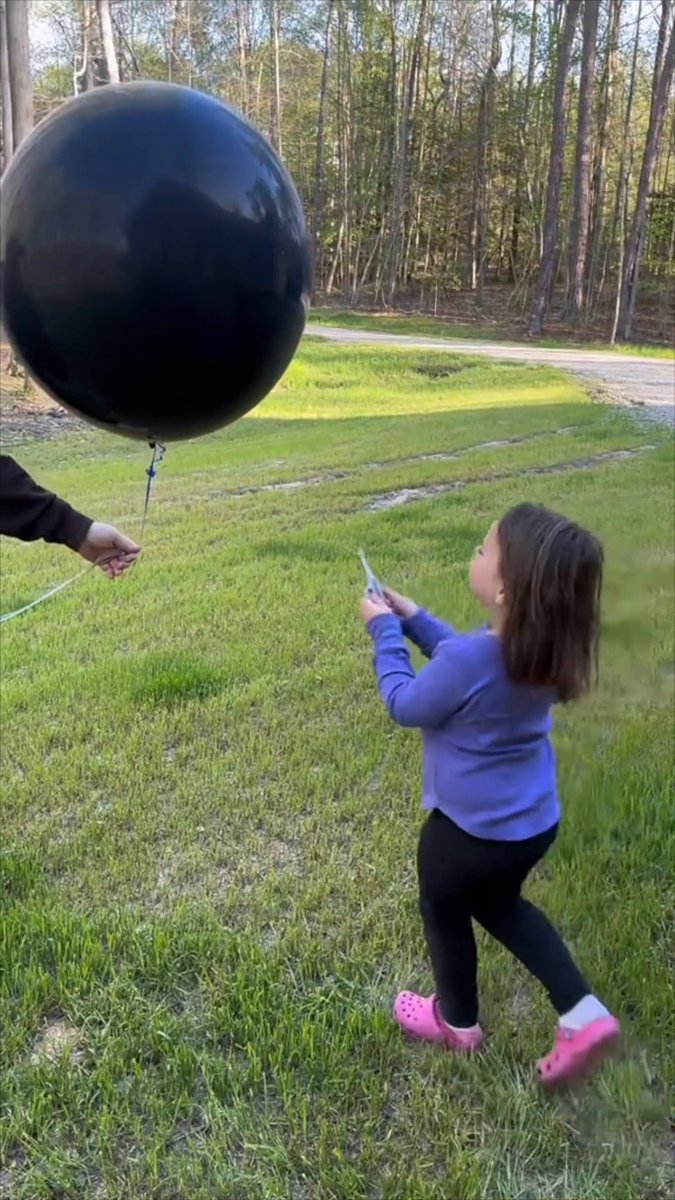 That gender reveal didn't go as planned 😂 (via candiceelizabethw/TikTok)