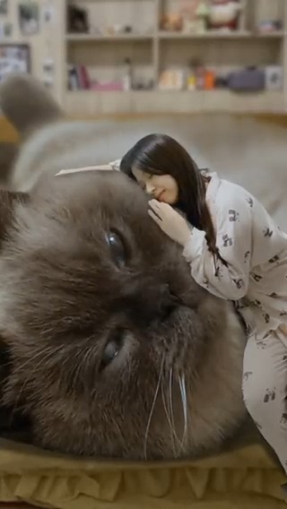 When I go to heaven this is what I gonna ask for #meowed #TheMeowedClub From 麻将的麻麻