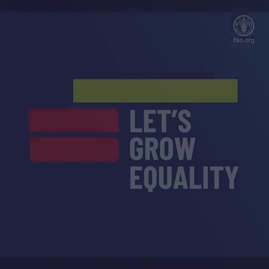 Women play a vital role in our agrifood systems, but their working conditions & economic opportunities are impacted by gender inequalities. It's time to make agrifood systems work better for women. Read Food and Agriculture Organization's new report👉🏼 #LetsGrowEquality