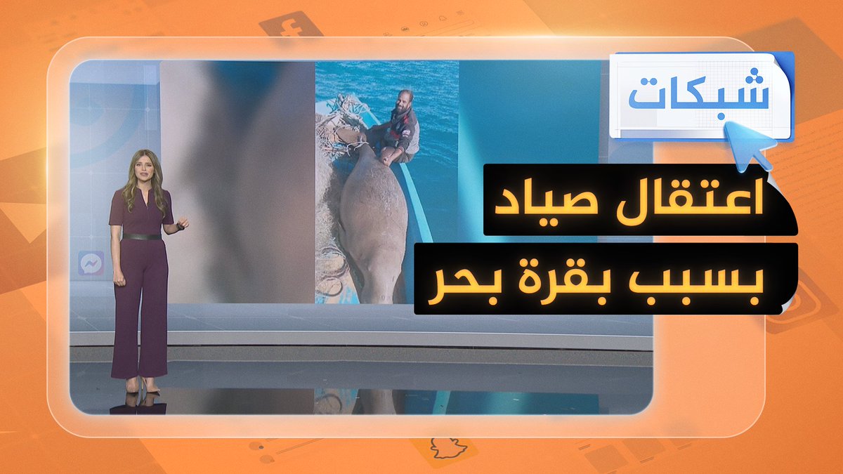 غضب في #مصر بسبب "بقرة البحر".. والقبض على الفاعل 🇪🇬🎣 #شبكات