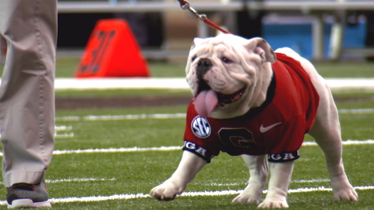 Before we welcome Boom as Uga XI on Saturday, how about one more round of applause for Que, who as Uga X, will retire as the winningest mascot in Georgia history Thanks for the memories, Uga X! You'll go down in history as the ultimate Damn Good Dawg.