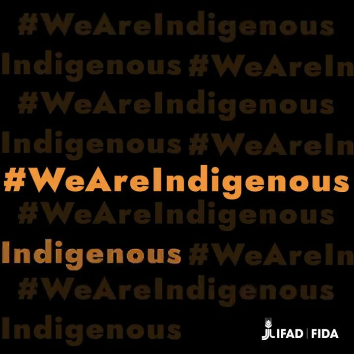 There are 476+ million indigenous people around the world. For generations, they have worked to protect natural resources & biodiversity. Here's how the UN is promoting & protecting their rights: #WeAreIndigenous via International Fund for Agricultural Development