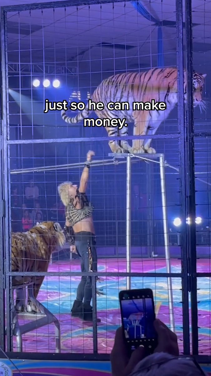 This is no life for a tiger 💔 #WorldCircusDay