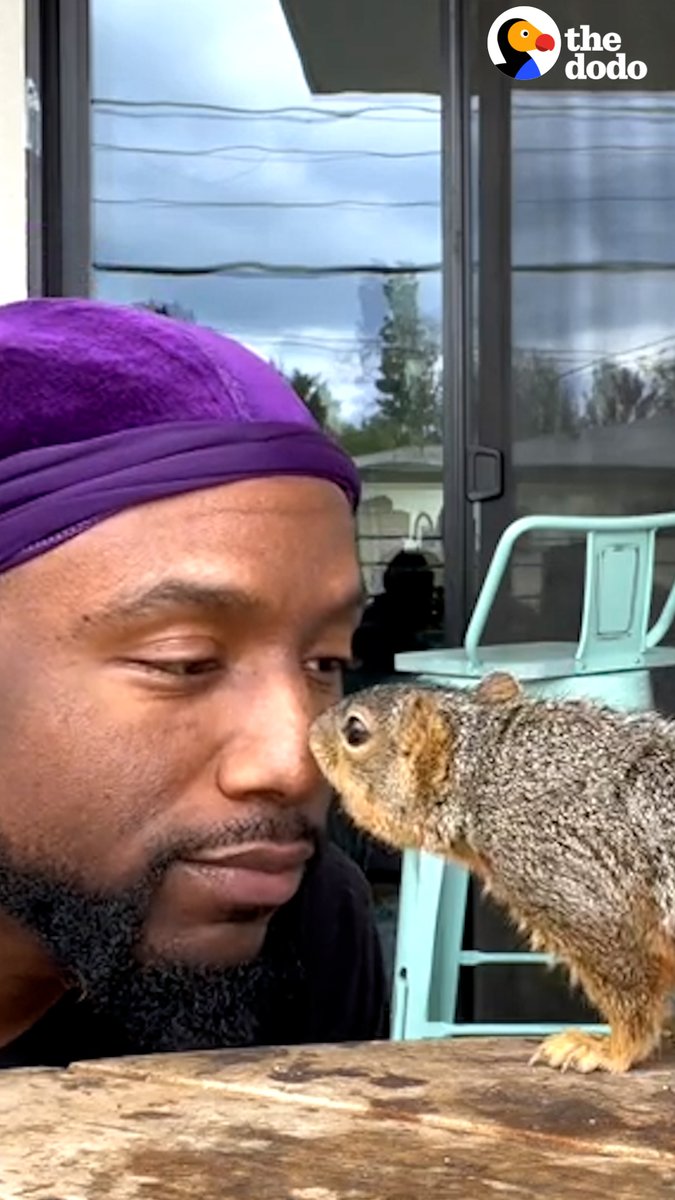 Guy builds a house with a tiny kitchen and living room for a squirrel named Richard... and Richard uses the house to start a family! 💕