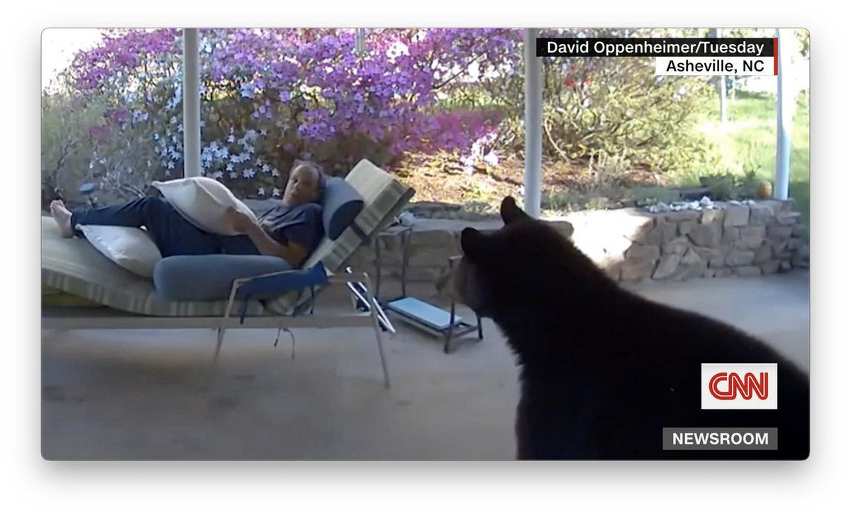 A man relaxing outside looked up to find himself in a bear stare-down