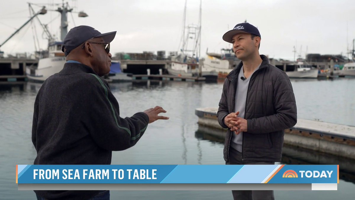 Aquafarms are an innovative new underwater and sustainable way to raise native seafood and plants while also helping to combat climate change and overfishing. Al Roker shares a closer look.