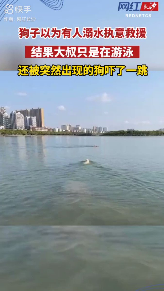 江西一个妇女遛狗不拴绳，别人在河里游泳，狗直接游泳扑了过去，差点把游泳者吓溺水。 最绝的是，这女的一边哈哈大笑，一边喊狗回来，一边用手机录视频。 真是操他血妈的女畜生。