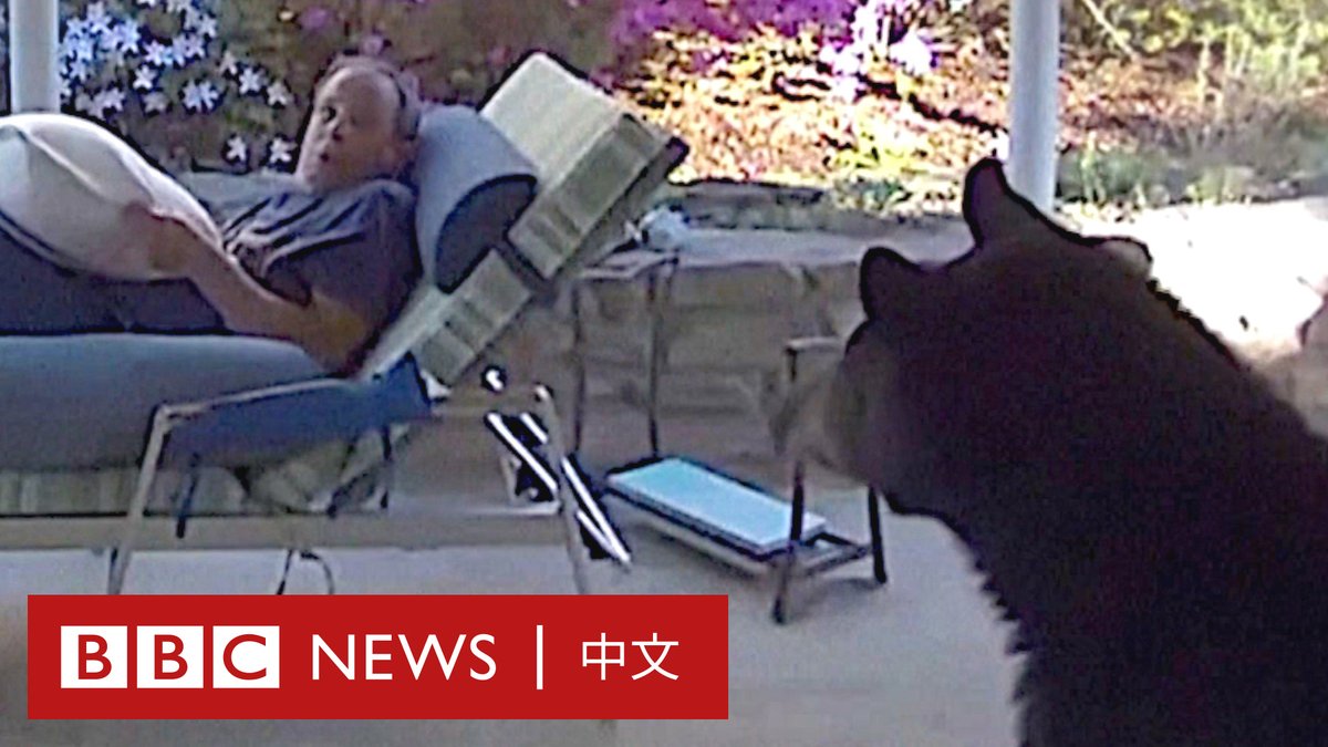 美国北卡罗莱纳州一男子在家看书时,一头黑熊突然造访......