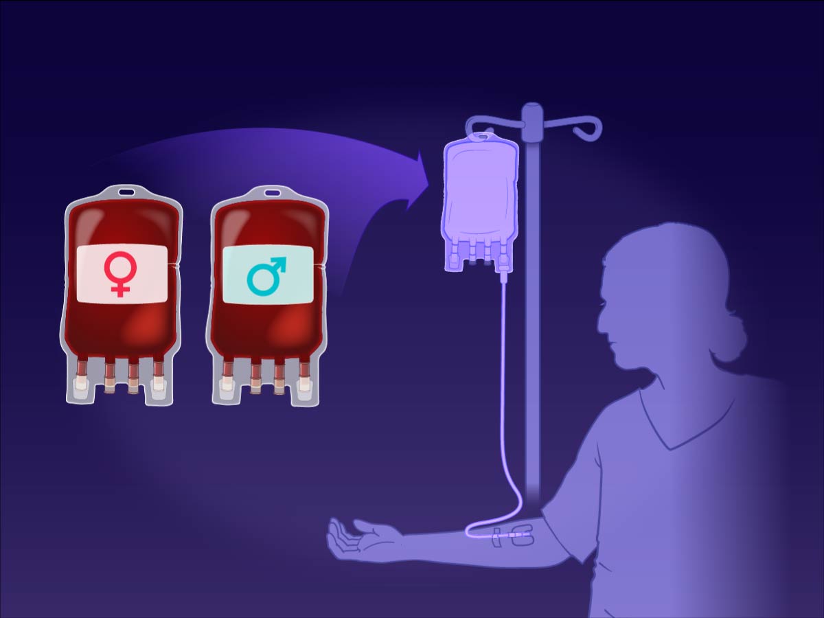 Observational evidence is conflicting on whether the sex of blood donors affects recipient outcomes. New findings from a randomized trial are summarized in this short video.