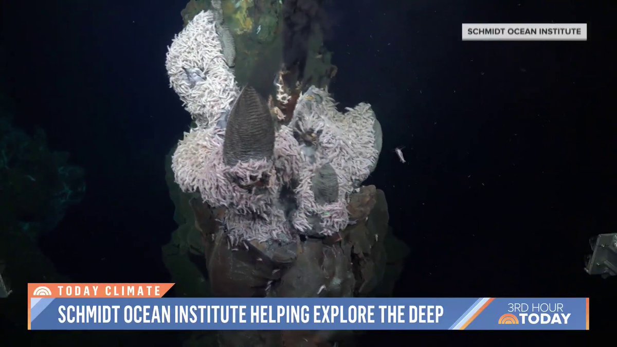The Earth’s oceans could hold the key to slowing climate change. Now, scientists are exploring the depths of the ocean to find answers thanks to a new state-of-the-art vessel provided by nonprofit Schmidt Ocean Institute. Wendy Schmidt joins us with more details. #TODAYClimate