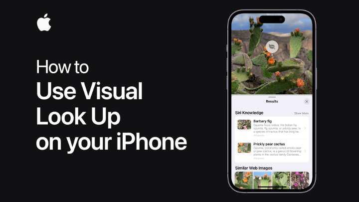 Learn more about what’s around you. ✨ Here’s how to use Visual Look Up to find information about the subjects in a photo, like plants, pets, landmarks, and more.