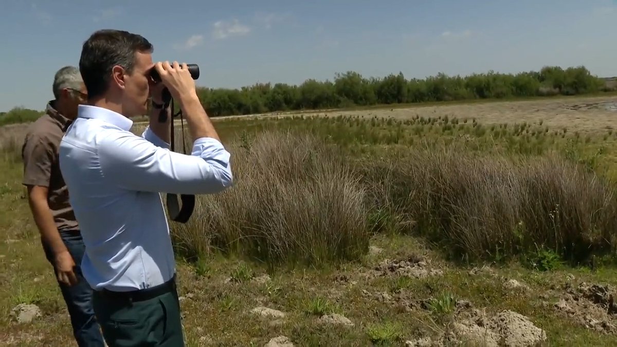Doñana es biodiversidad y riqueza medioambiental. Tenemos la responsabilidad de salvar este entorno y lograr que las futuras generaciones tengan la oportunidad de contemplar su belleza. #DoñanaNoSeToca