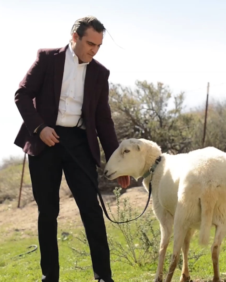 How the fashion industry treats animals is really something to be afraid of. #BeauIsAfraid star Joaquin Pheonix explains why you should never wear anything that comes from animals at all.