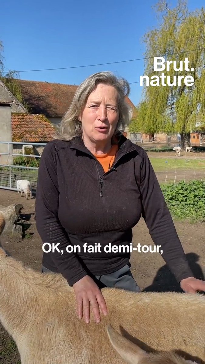 Depuis 15 ans, Dominique s'occupe de 850 animaux de la ferme dans son sanctuaire des Douages. Handicapés, victimes de maltraitance, sortis de laboratoires... Ses animaux passent avant elle, mais aujourd'hui, elle risque de fermer son refuge par manque de dons.