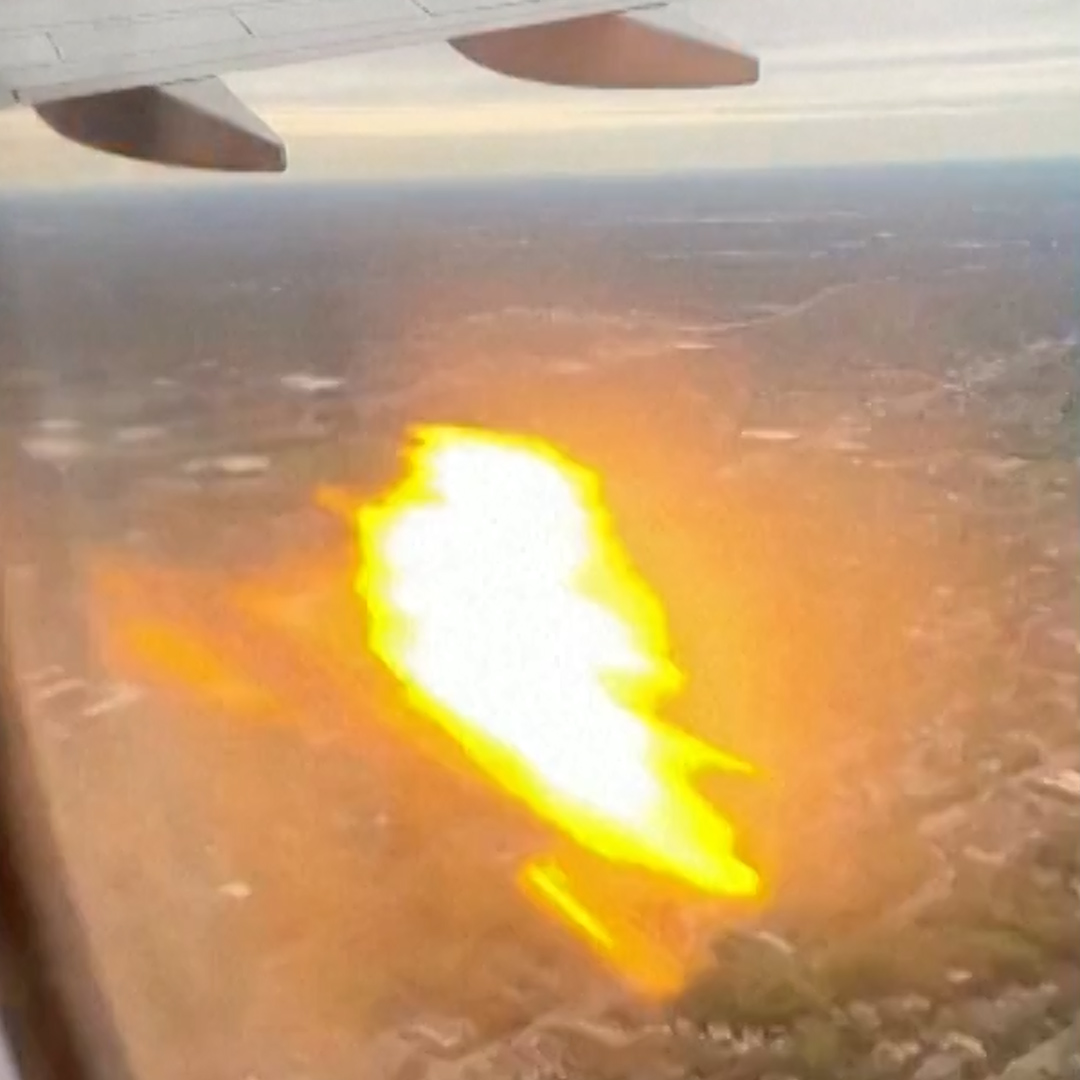 WATCH: An American Airlines plane engine caught fire after colliding with a bird.