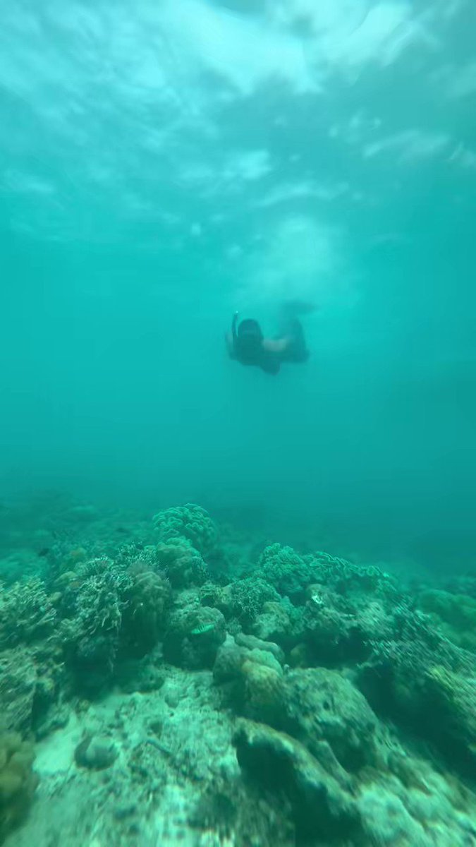 OPEN TRIP MABUL, SEMPORNA sapa yang takde geng nak healing tu meh join. Solo pun boleh join. Ada 3 date yang available. 9-12 Sept 2023 (3 slot) 16-19 Sept 2023 (4 slot) 7-10 Oct 2023 (4 slot) Nak join boleh terus tekan link wasap ni 👉