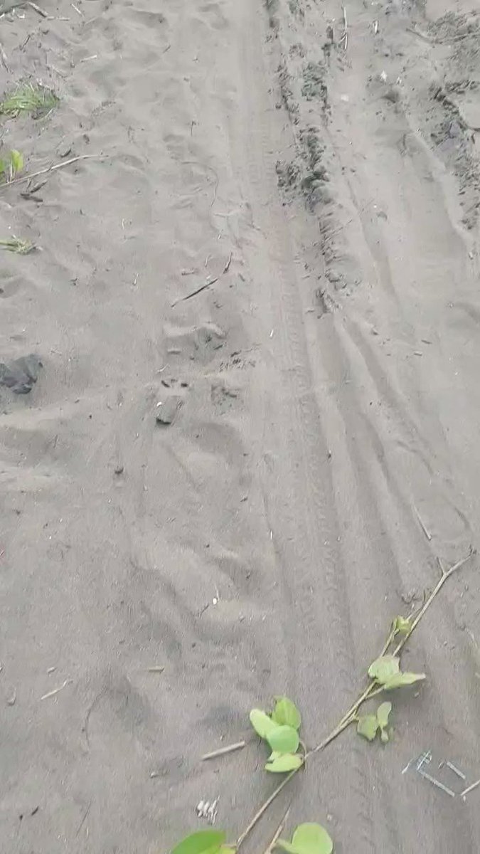 Tebak kegiatan 😅