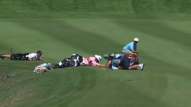 "I have never seen anything like that." A swarm of bees was probably not something Erik van Rooyen and crew saw coming Mexico Open at VidantaWorld ๐