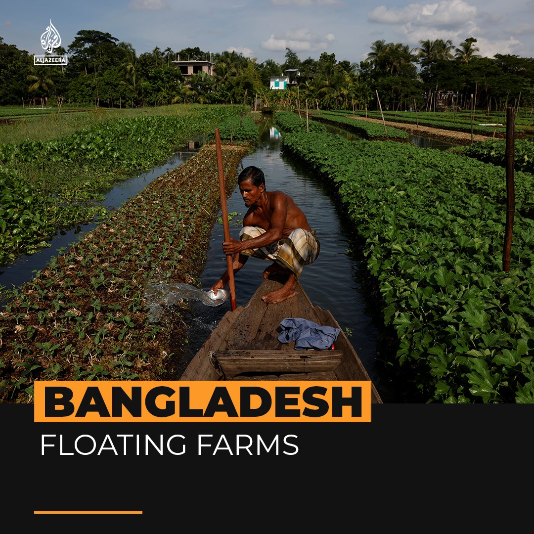 Farmers in Bangladesh are reviving floating farms to cope with extreme monsoon seasons 👇