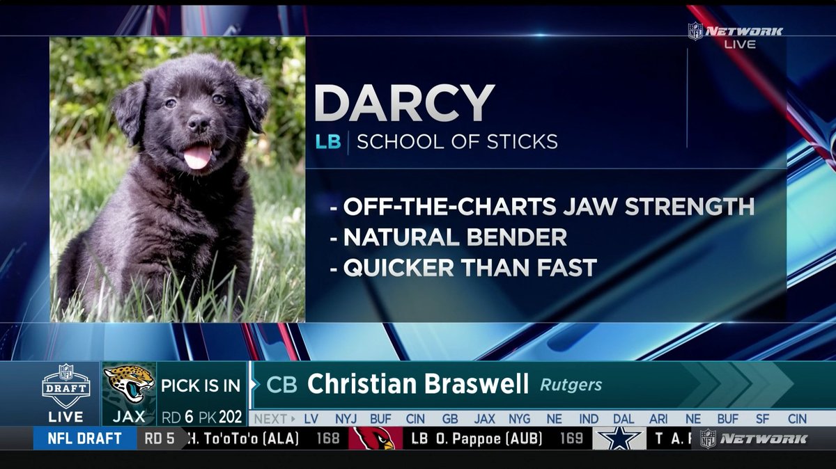 Scouting reports on the best available puppies, according to Daniel Jeremiah. 🐶 📺: 2023 #NFLDraft on NFLN/ESPN/ABC 📱: Stream on NFL+
