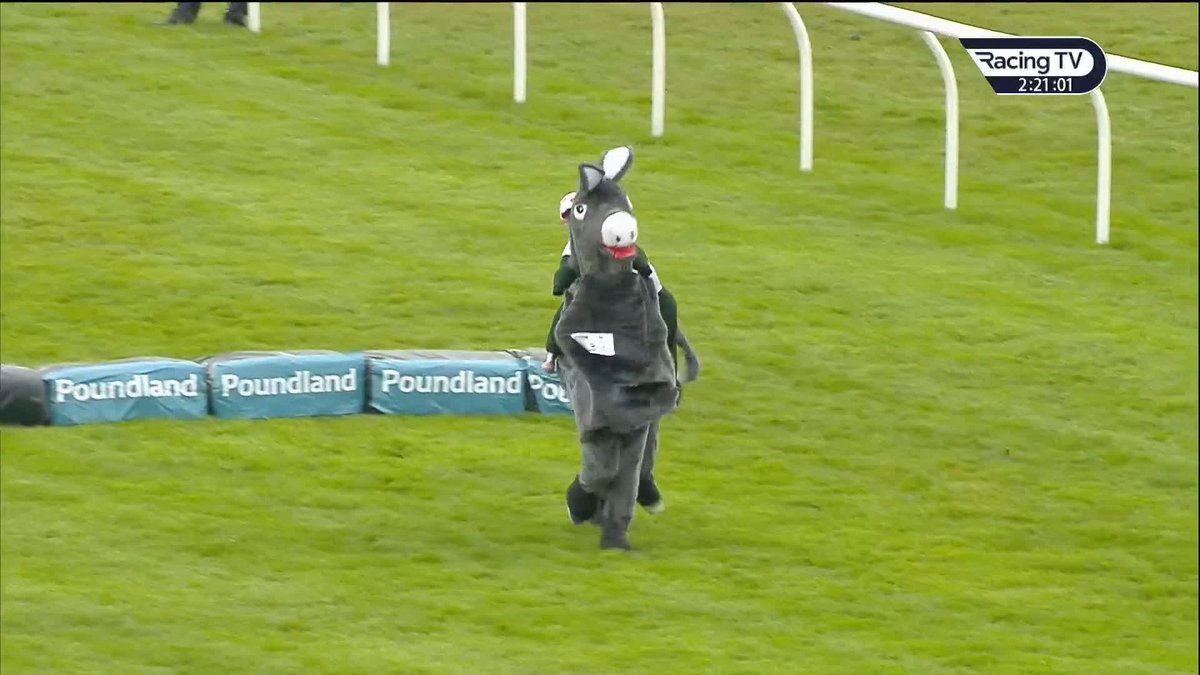 This is hilarious 🤣🤣🤣 Another epic renewal of the Poundland Mascot Gold Cup, with Pure Lettings Pony going one better than last year! Well done to everyone involved raising money for very worthy causes 👏 Wetherby Racecourse | netkeiba