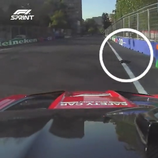 Safety Cat Deployed 🐈⬛ Charles Leclerc clarifies that he was reporting a feline friend on the radio during Saturday's Sprint, not a car issue! 😅 #AzerbaijanGP #F1Sprint Scuderia Ferrari HP