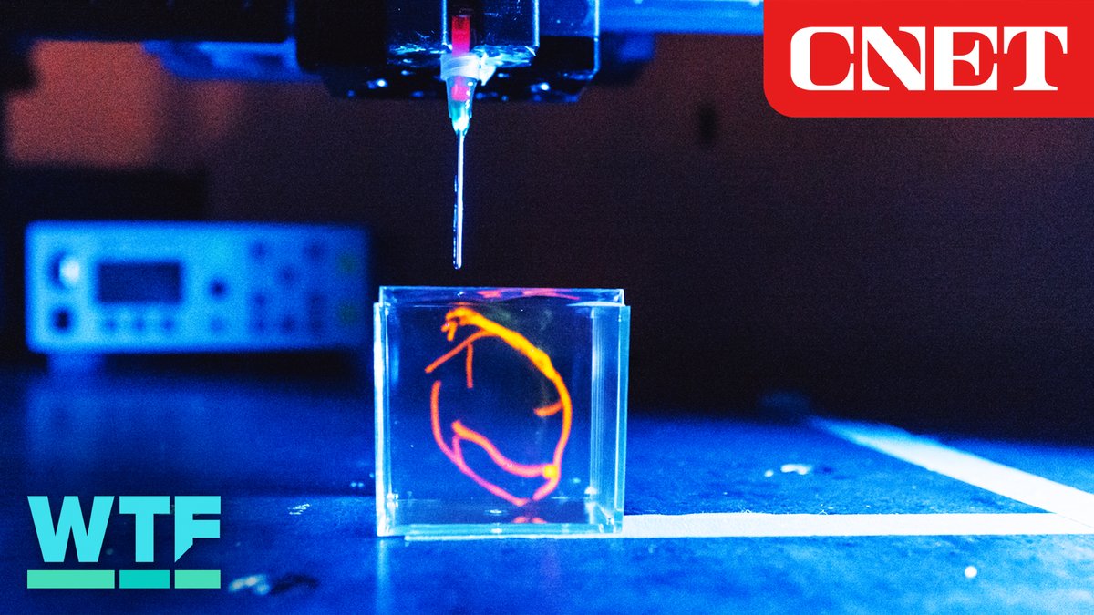 Scientists at Stanford University have developed a method for 3D-printing human heart tissue that could eventually be implanted into patients.