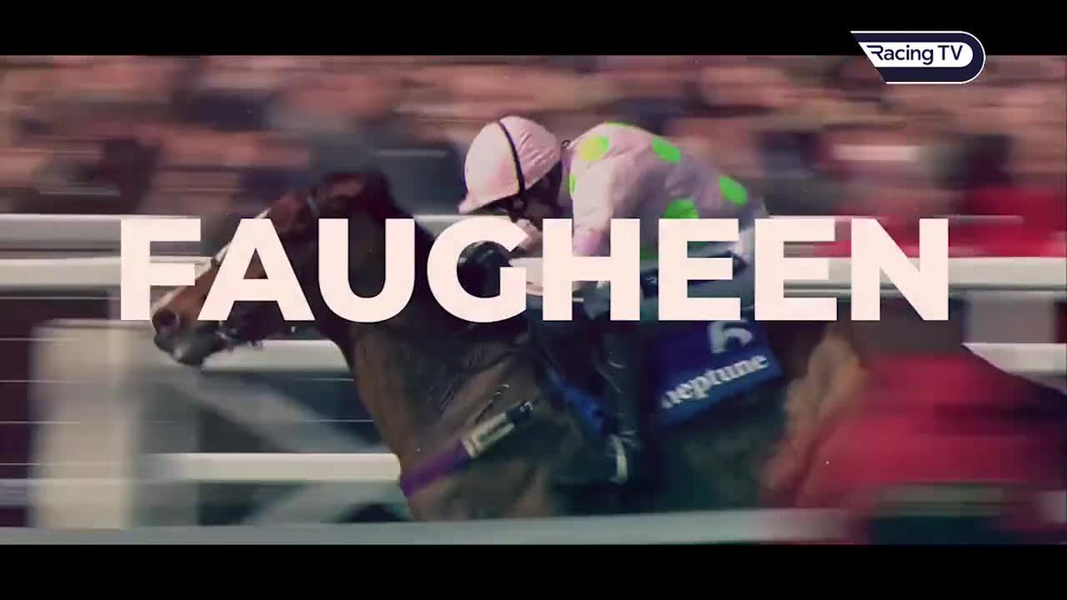 Happy birthday, Faugheen 🏇 26 races 🥇 17 wins 🏆 11 Grade One successes 🏆 Champion Hurdle 🏆 Irish Champion Hurdle 🏆 Punchestown Champion Hurdle 🏆🏆 Christmas Hurdle &amp; much more! 💷 Over £1.1 million in prize money