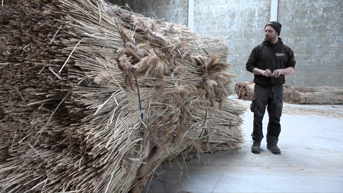 VIDEO: Once upon a time many homes in the picturesque Burgenland wine-growing region of eastern Austria were thatched. Now a CERN particle physicist turned thatcher is hoping to revive the ancient art to encourage more sustainable house building.