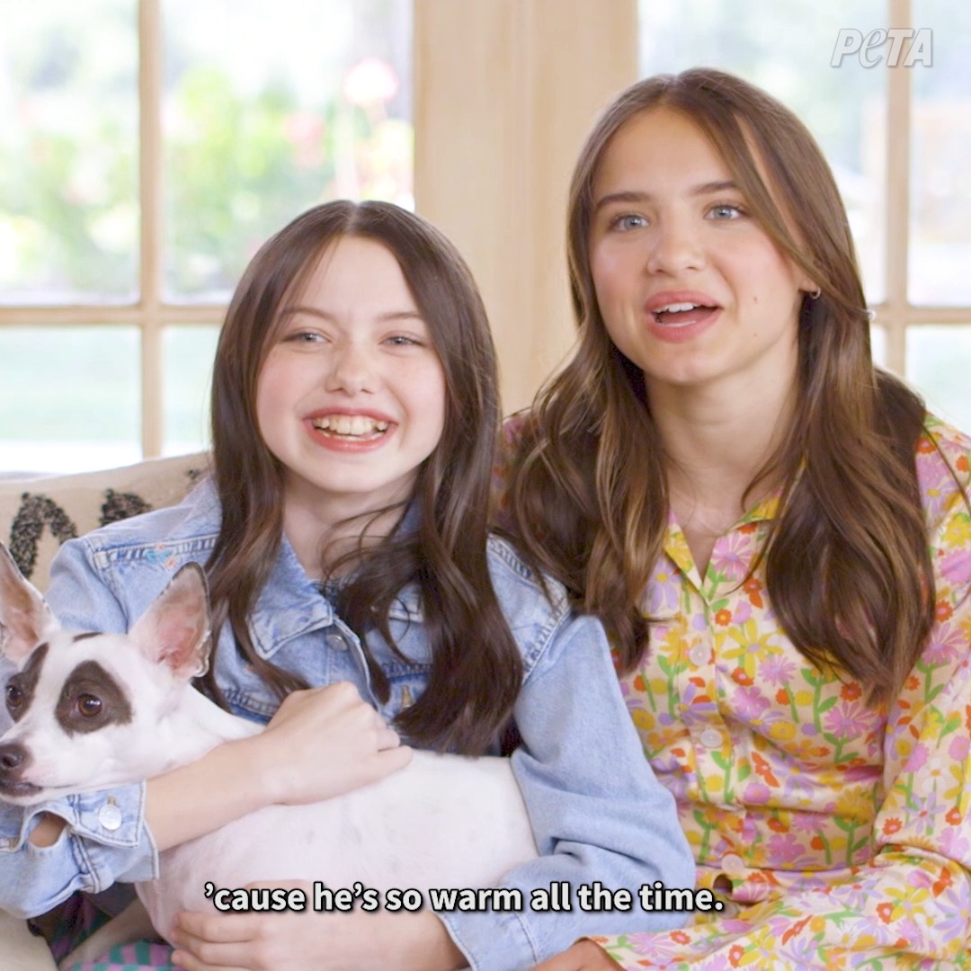 When Madeleine McGraw and Violet McGraw welcomed Rudy into their home, they gained a loving and unique new family member 🐶💙 The McGraw sisters teamed up with PETA Kids in a heartwarming new ad, reminding everyone: #AdoptDontShop!