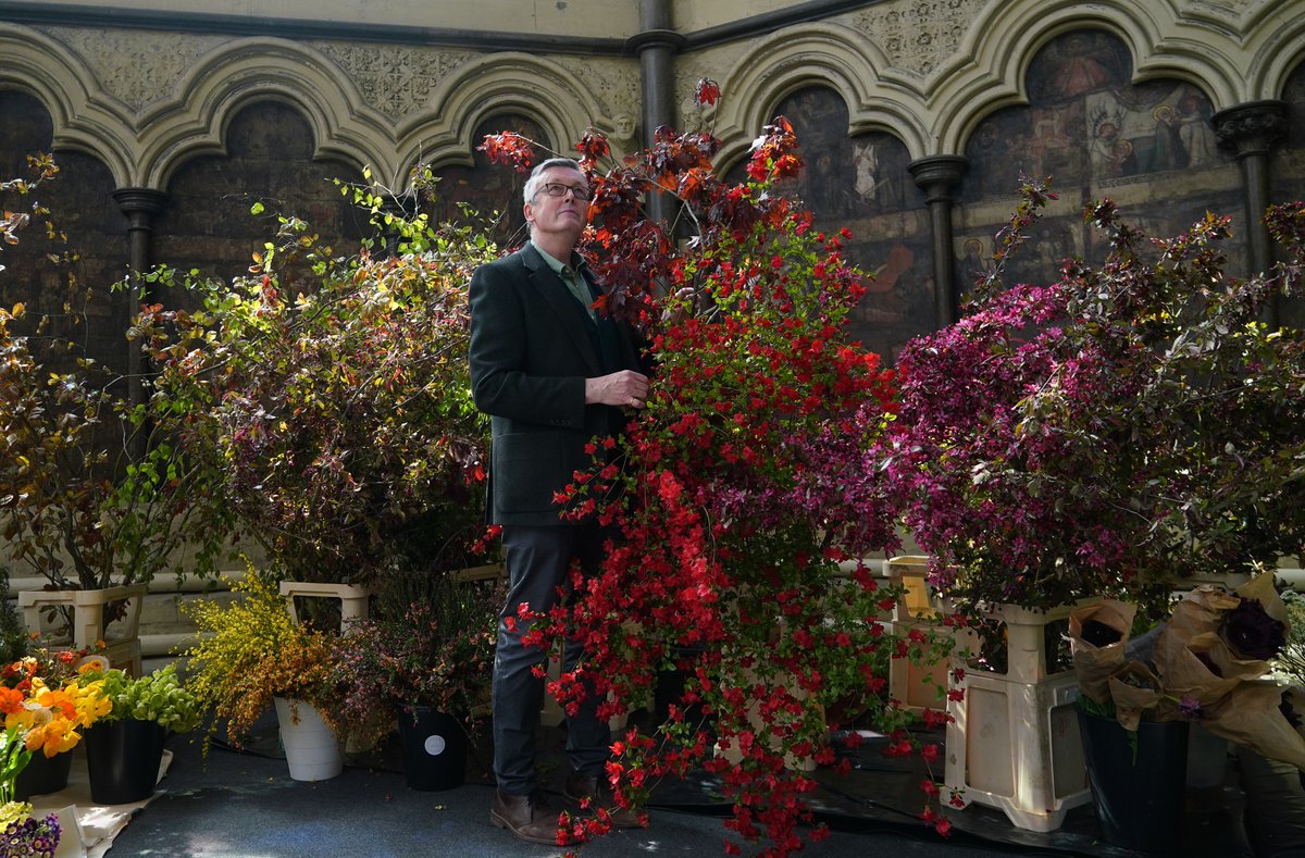 Seasonal flowers and foliage from all over the United Kingdom have arrived at @WAbbey, ahead of Their Majesties’ Coronation on Saturday. Flowers have been provided by FlowersFromTheFarm, an association that champions artisan growers, with foliage from The RHS at the High Altar.