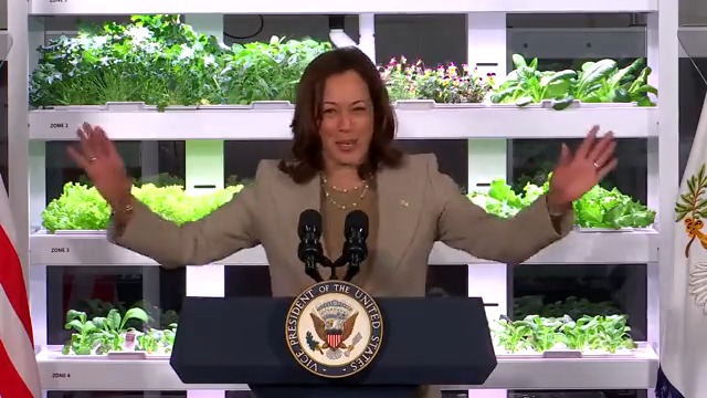 Kamala Harris: "Some of our younger small business owners actually self-identify as entrepreneurs. They’re small business owners also. Ha ha ha"