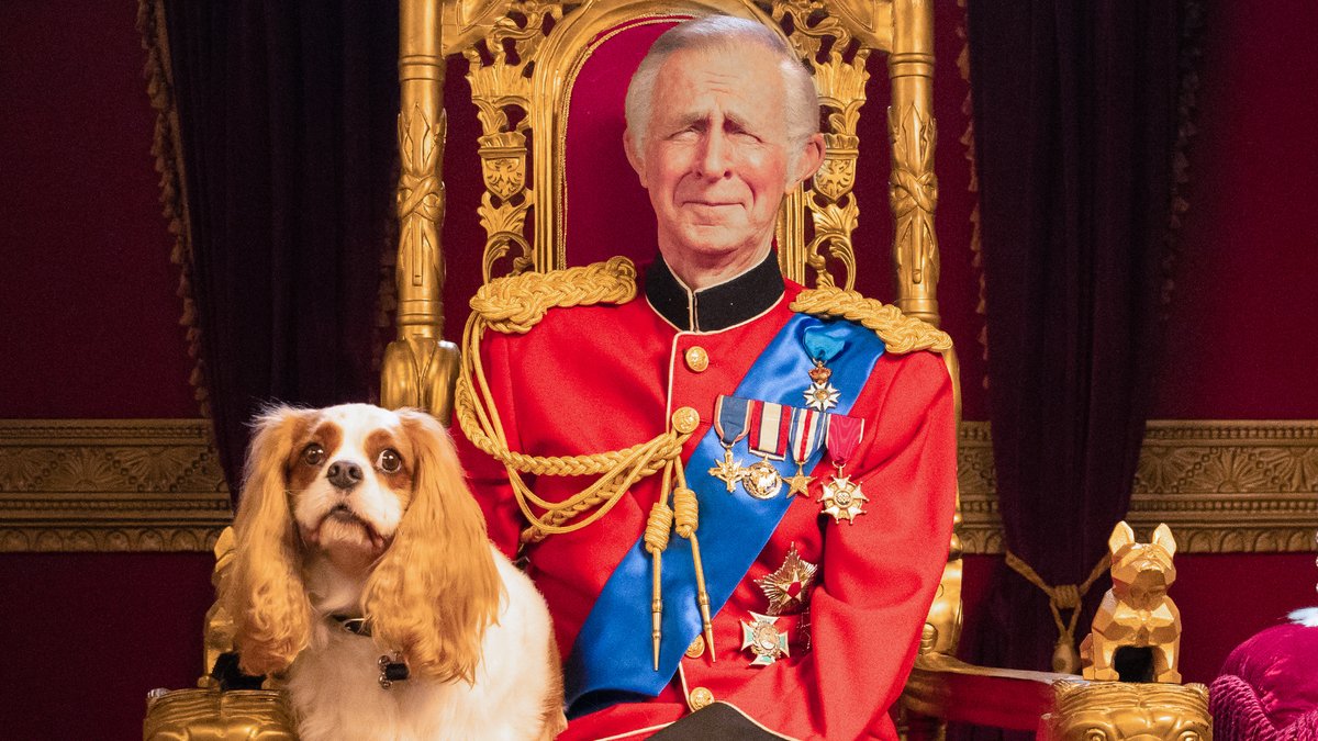 These Air Bud sequels keep getting weirder and weirder, but they've still got that wholesome message. PetSmart Charities® Dana Carvey