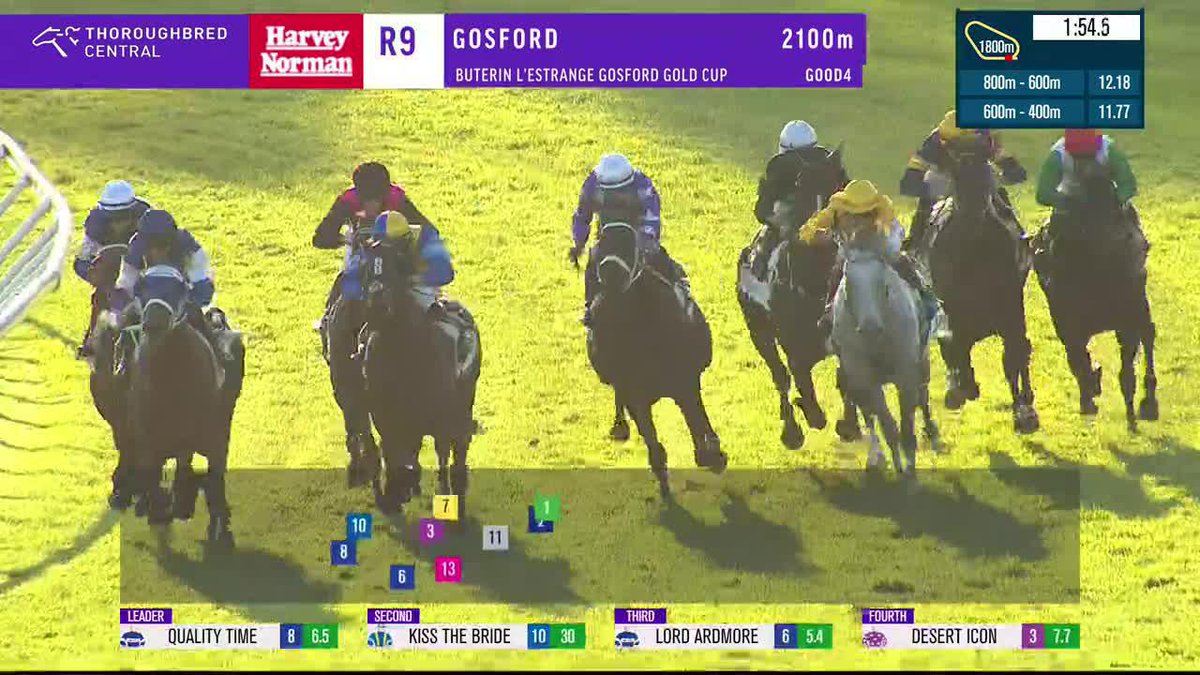 DID YOU KNOW❓⁉️ On average, there are only 100 thoroughbreds born in Hungary every year 🇭🇺 Today, ESTI FENY became the first Hungarian-bred stakes winner globally in 40 years with his win in the Gosford Gold Cup 🇦🇺